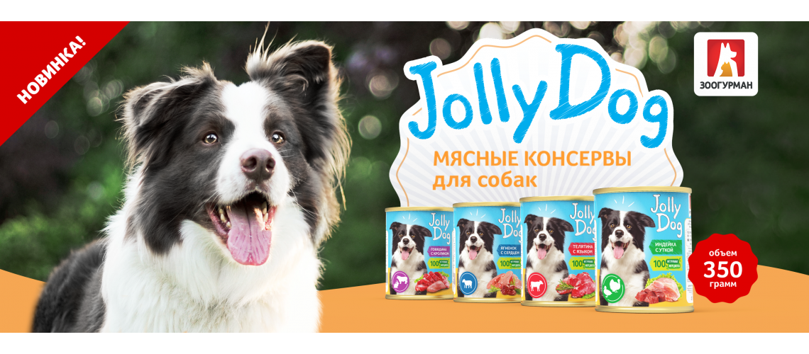 20211126_Jolly Dog_влажный_350g_Zoogurman.ru